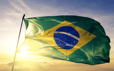 Market Data and a Roadmap for Entering Brazil retail, hospital and tender Pharma segments