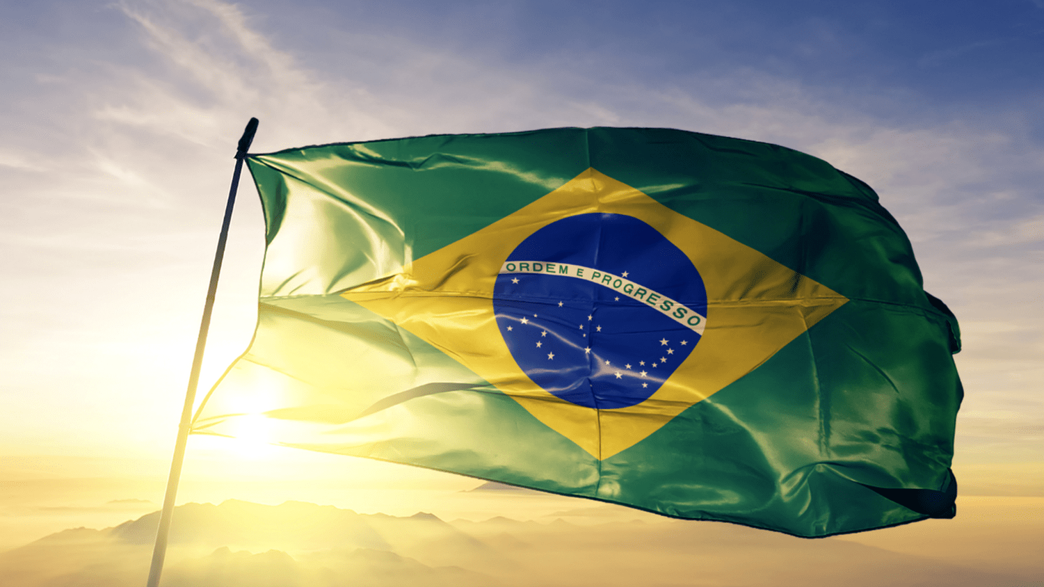 Brazilian Flag