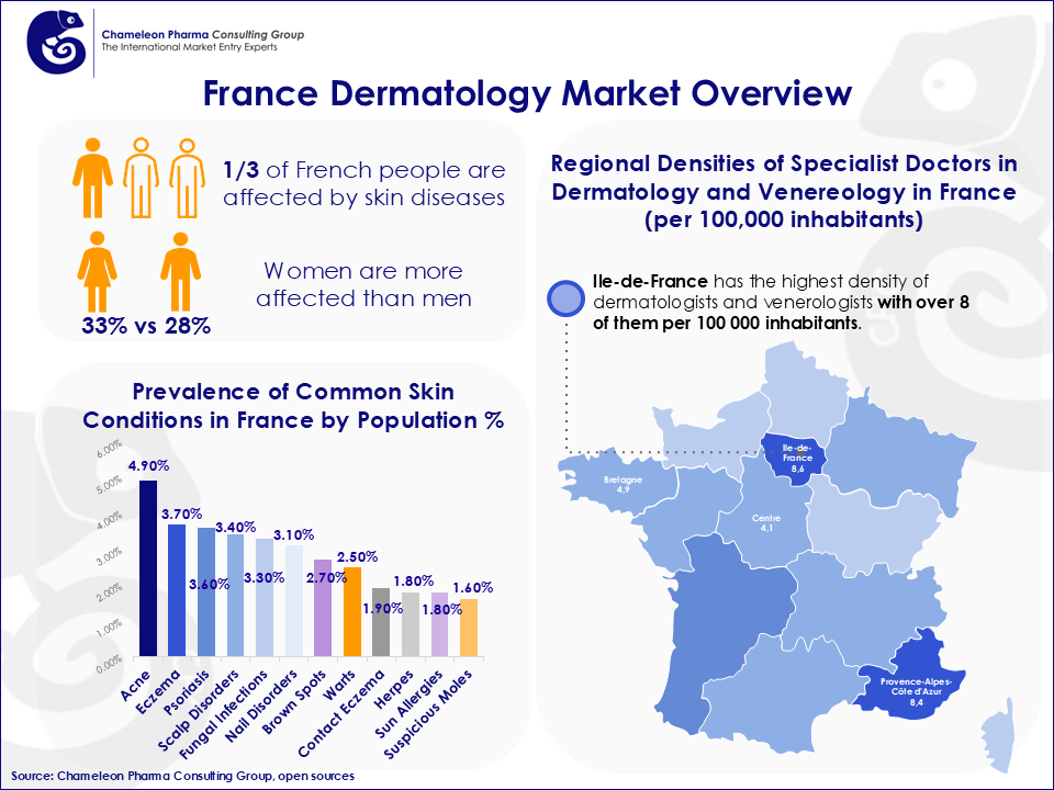 An infograohic showing an overview of the Dema Market in France