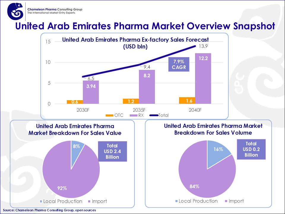 UAE Pharma Market Expansion Overview's Infographic