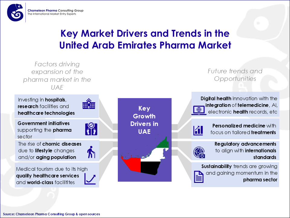 UAE Pharma Market Expansion Overview's Infographic