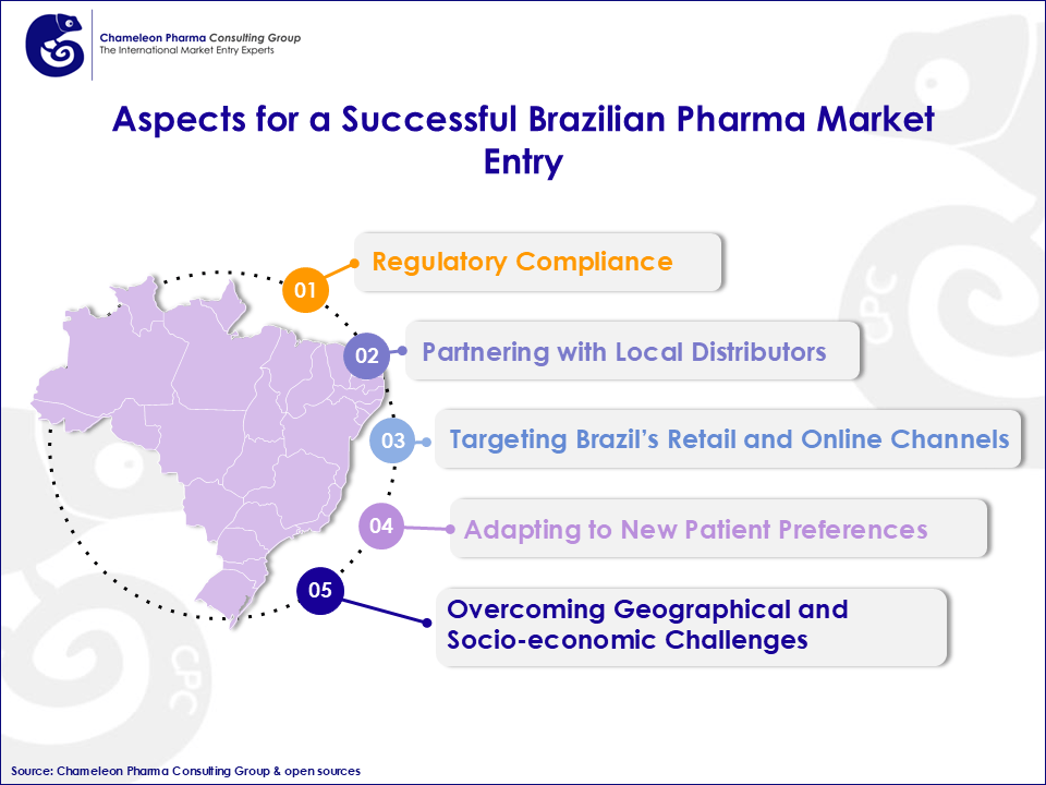 Infographic showing asepcts for a successful brazilian pharma market entry