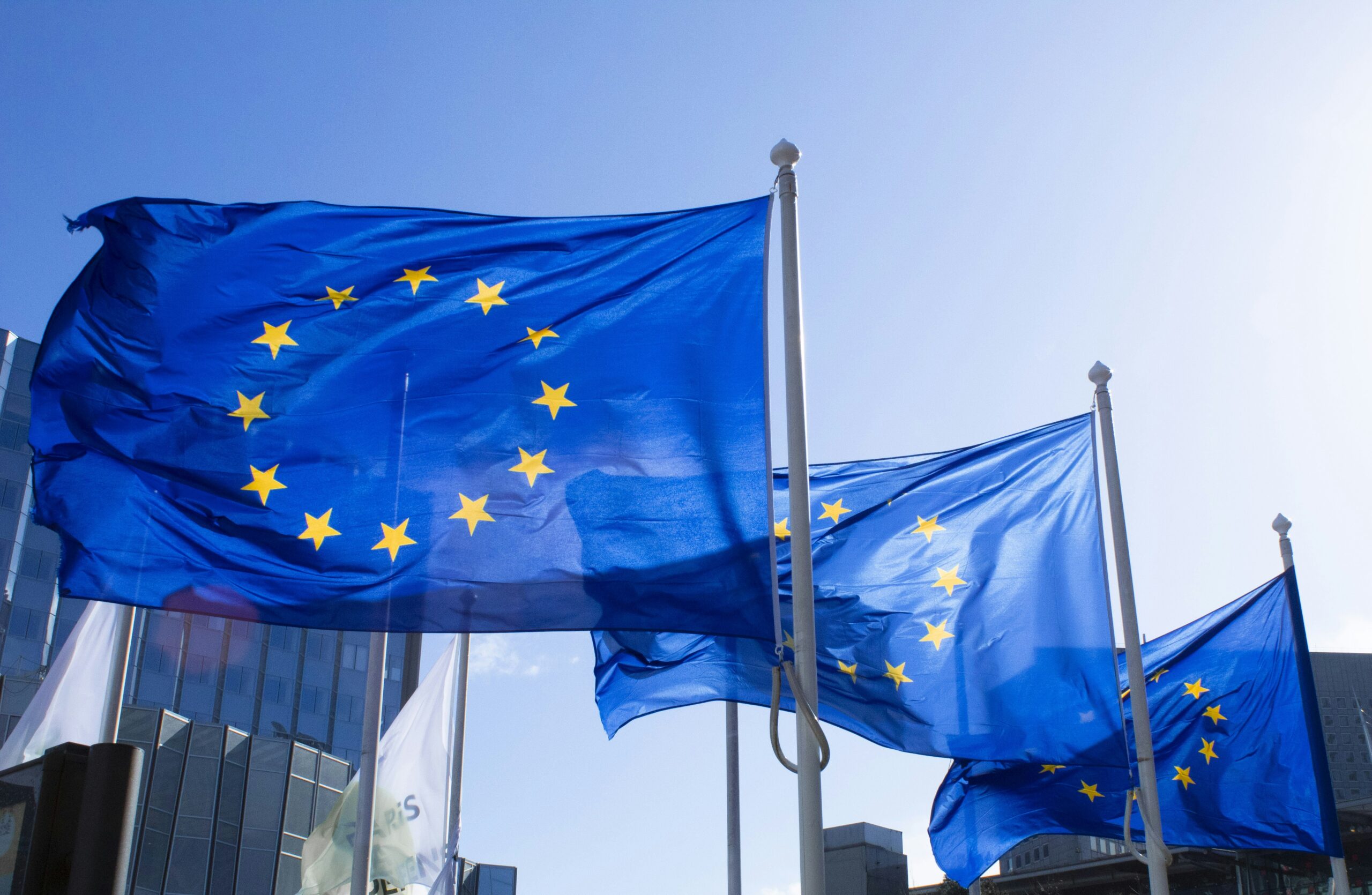 A picture showing EU flags