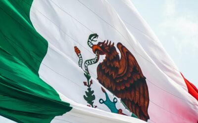 The Leading Pharmacy Chains in Mexico: Insights and Future Outlook
